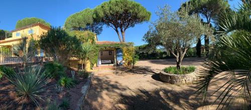 Vidauban Casa | Sous les pins parasols