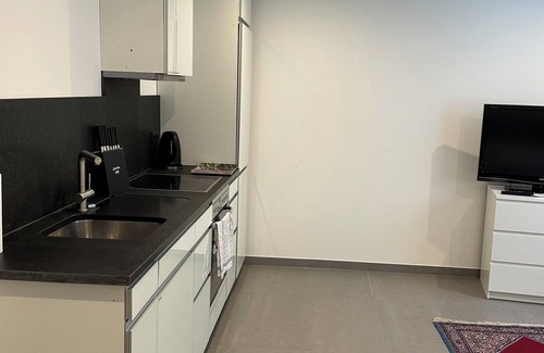 Industriebezirk Apartamento | Souterrain Wohnung in Exklusiver Villa Nähe Nymphenburger Schlosspark