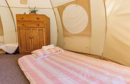 Liverton Otro | South Devon Luna Bell Tent