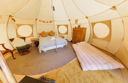 Liverton Otro | South Devon Luna Bell Tent