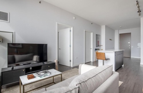 The Loop Apartamento | South Loop 1br w gym game room nr top schools CHI-988