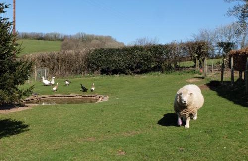 Kentisbury Casa | South Sandpark Cottage