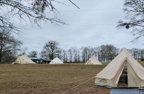 Chancellor Alquiler De RV | Southern Comfort Glamping