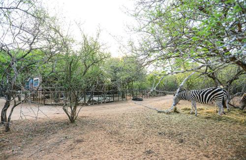 Marloth Park Casa | SouthernCross@Kruger
