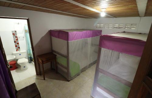 Ibague Cabina | SPA Ambiental Los Alpes