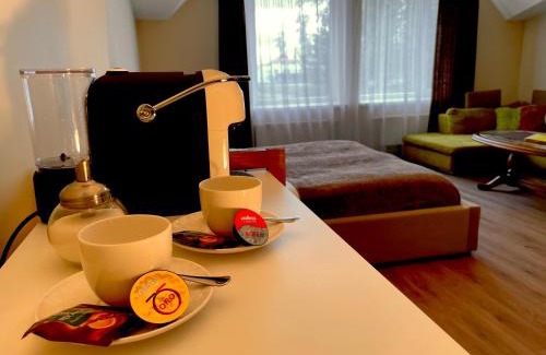 Zemgale Hotel | SPA&Hotel MŪSA PARADISE