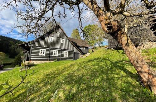 Horni Dusnice Apartamento | SPA SPA - Roubenka