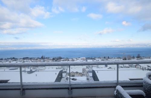 Evian-les-Bains Apartamento | Spacieux appartement 4 pers avec balcon, wifi et animaux admis - FR-1-498-101