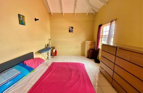 Vieux Fort Apartamento | Spacious 2-Bedroom, 2-Bath Apartment 5 Mins to Sandy Beach & Airport