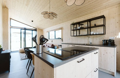 Ouddorp Chalet De Esquí | Spacious accommodation where your dog is also welcome