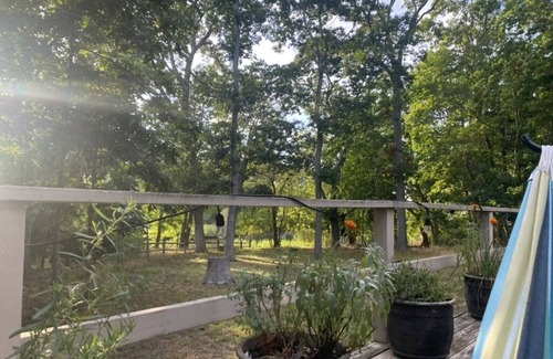 Sag Harbor Casa | Amplia, espaciosa, tranquila, casa recientemente renovada en un lote arbolado privado con estanque