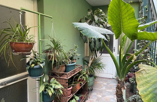 Cochabamba Casa | Habitación amplia y confortable en el mismo centro de la ciudad