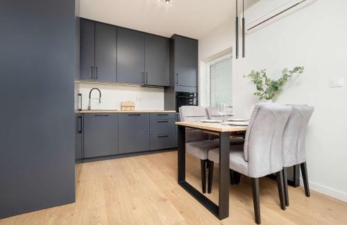 Rzeszow Apartamento | Spacious and Modern Apartment Paderewskiego with Air Conditioning by Noclegi Renters