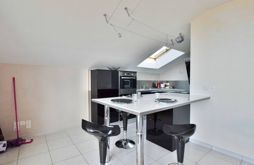Evian-les-Bains Apartamento | Amplio apartamento con terraza, se admiten mascotas y aparcamiento