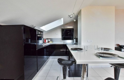 Evian-les-Bains Apartamento | Amplio apartamento con terraza, se admiten mascotas y aparcamiento