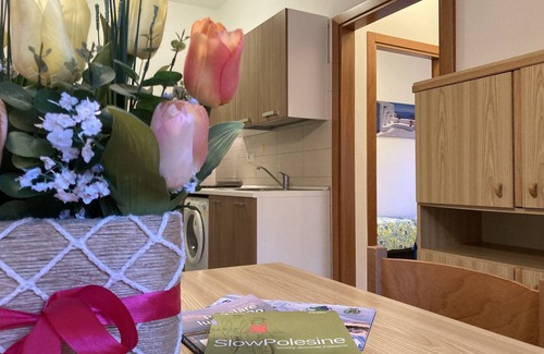 Rosapineta Apartamento | Amplio apartamento para hasta 6 personas por - Beahost