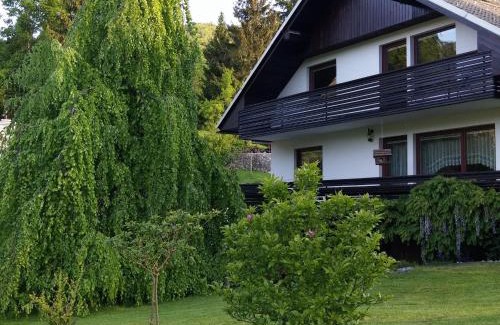 Bohinjska Bela Apartamento | Spacious apartment