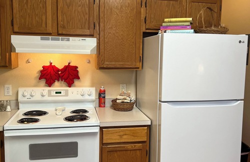 Milan Apartamento | Spacious Apt in Vibrant Downtown Milan Michigan, Between Ann Arbor and Detroit