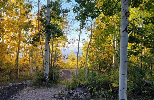 Tollgate Canyon Cabina | Spacious Cabin just minutes outside of Park City