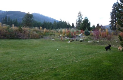 Methow Valley Cabina | Spacious Cabin W/Lrg Fenced Yard in the Heart of Methow Valley