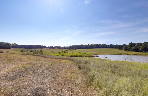 Grubville Casa | Spacious Franklin County Retreat on 80 Acres!