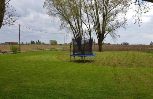 Poperinge Casa | Spacious Holiday Home with Pond in Poperinge