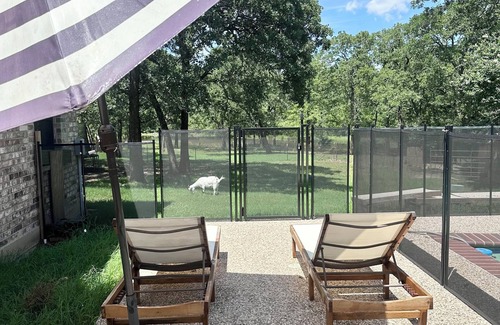 Terrell Casa | Spacious home on 10 acres with entertainment galore Pool table, ping pong n’more