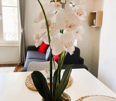 Saint Nicolas - Charles III - Ville vieille - Trois Maisons - Leopold Apartamento | Spacious Home-Style Nancy Apartment