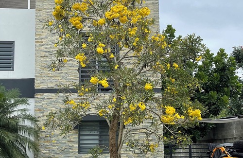 Bonao Apartamento | Spacious & Homey 4-bedroom apartment with WiFi and AC in welcoming Bonao