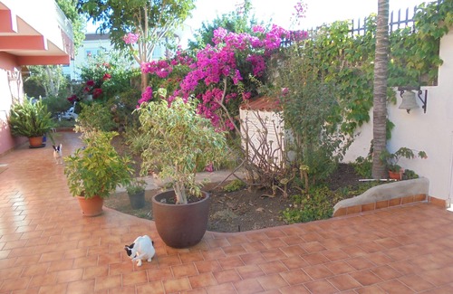 Los Olivos Casa | AMPLIA CASA EN EL CAMPO: Ada´s House 2