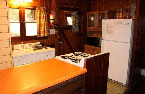 Clarington Cabina | Cozy Cabin with Fireplace, Dog Friendly, 2 Minutes to River