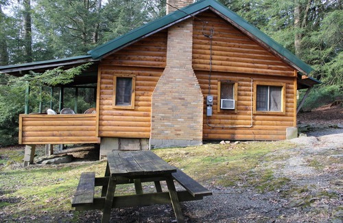 Clarington Cabina | Cozy Cabin with Fireplace, Dog Friendly, 2 Minutes to River