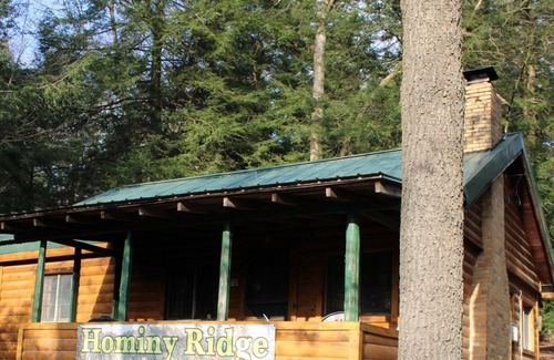 Clarington Cabina | Cozy Cabin with Fireplace, Dog Friendly, 2 Minutes to River