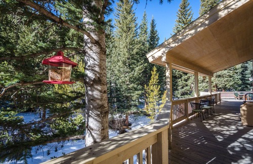 Saint Mary's Casa | Lujoso Colorado Mountain Lodge!