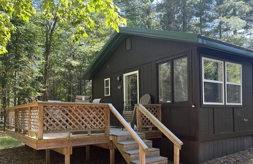 Higgins Lake Cabaña | Spacious Peaceful 1 Bedroom cabin, wooded lot, Near Higgins Lake, new to VRBO.