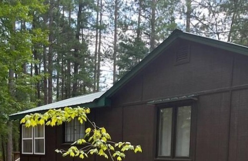 Higgins Lake Cabaña | Spacious Peaceful 1 Bedroom cabin, wooded lot, Near Higgins Lake, new to VRBO.