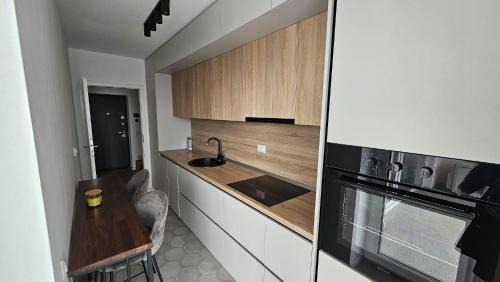 Targoviste Apartamento | Spacious Riverside View, Class Park