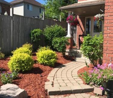 Orangeville Casa | Spacious room for rent