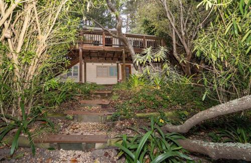 Tamalpais-Homestead Valley Casa | Spacious Serene Sanctuary- 14 min to Muir Woods