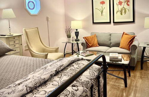 Bolivar Apartamento | Spacious studio apartment with full kitchen, centrally located