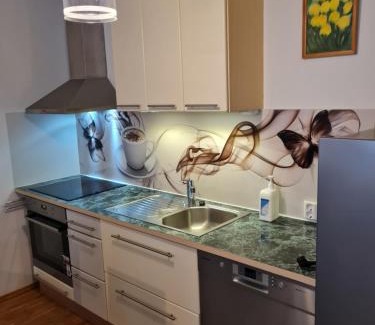 Tatari Apartamento | Spacious studio apartment in city center Tallinn