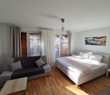 Tatari Apartamento | Spacious studio apartment in city center Tallinn