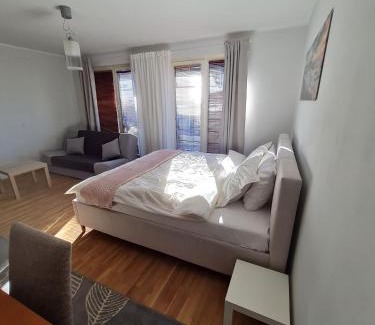 Tatari Apartamento | Spacious studio apartment in city center Tallinn