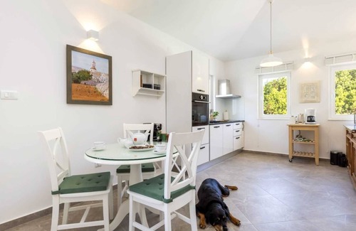 Veli Losinj Villa | Spacious Villa with swimming pool