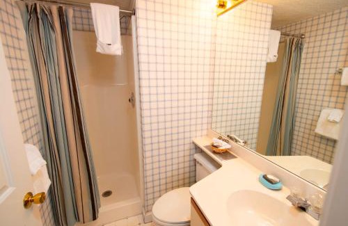 Ludlow Apartamento | Spacious Winterplace 2 Br Condo- Okemo condo