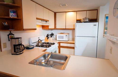 Ludlow Apartamento | Spacious Winterplace 2 Br Condo- Okemo condo