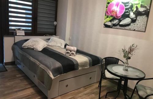 Klodzko Miasto Apartamento | Spadzista 3