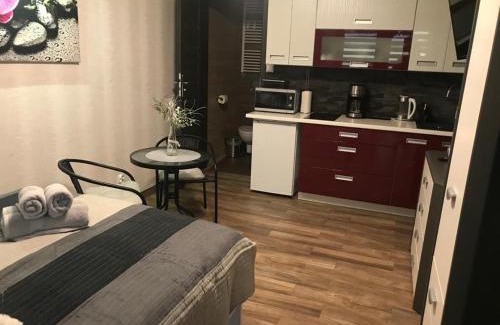 Klodzko Miasto Apartamento | Spadzista 3