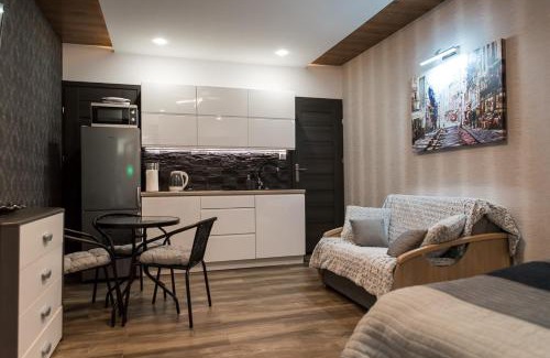 Klodzko Miasto Apartamento | Spadzista 4
