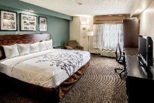 Augusta Hotel | Spark by Hilton Augusta